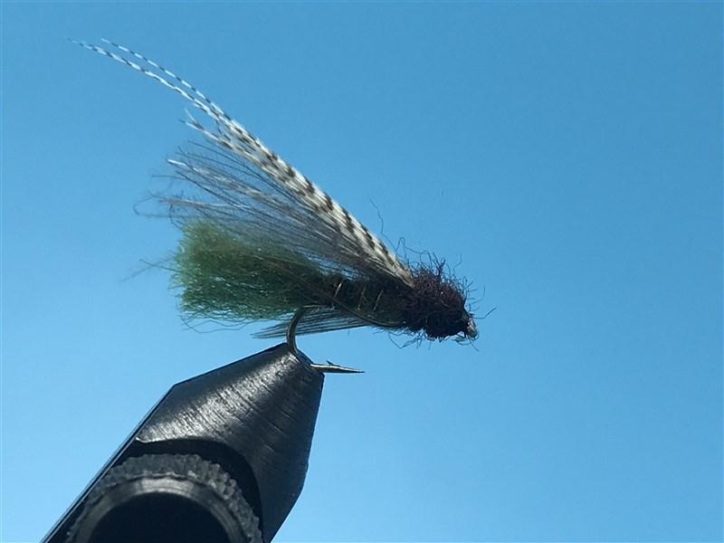 Bloom's CDC Caddis Emerger Olive - The Trout Spot
