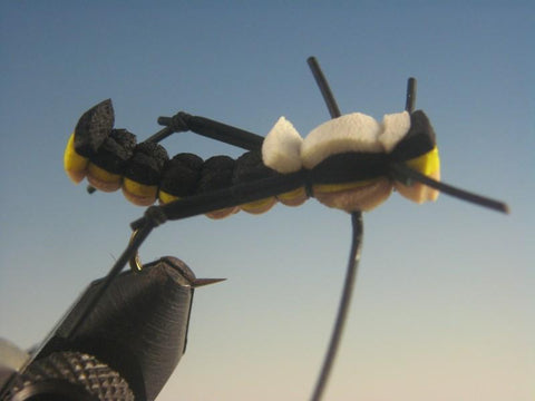 BLT Black and Tan - The Trout Spot