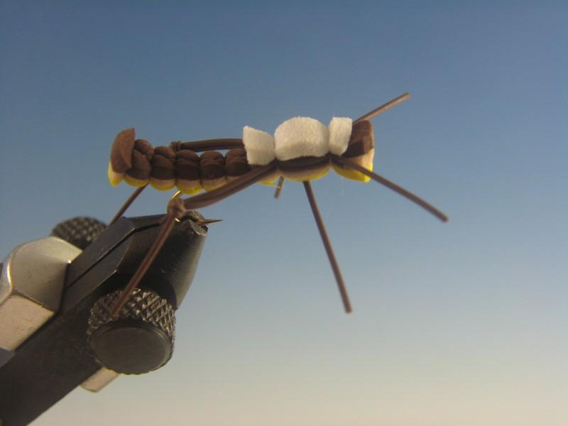 BLT Brown and Golden - The Trout Spot