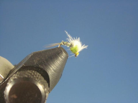 Blue Wing Olive CDC Loop Wing Emerger Olive - The Trout Spot