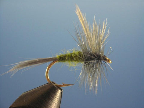 Blue Wing Olive - The Trout Spot