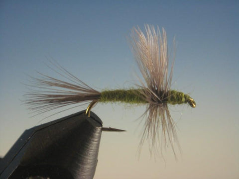 Blue Wing Olive Thorax - The Trout Spot