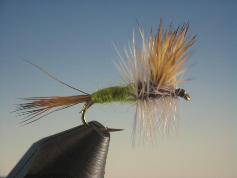Blue Wing Olive Wulff | The Trout Spot