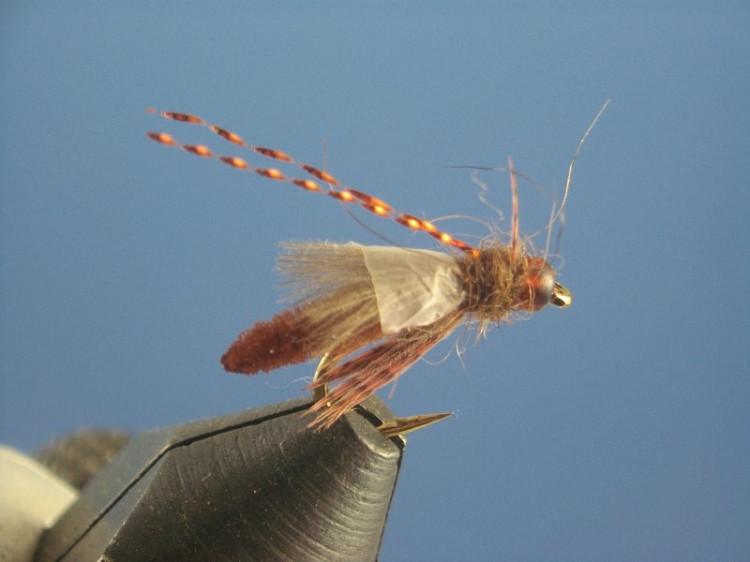 Boname's Rocky Mountain Caddis Emerger Brown - The Trout Spot