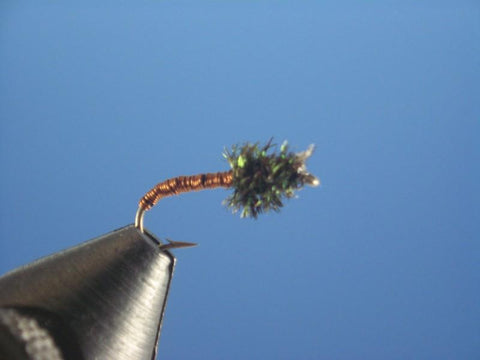 Brassie - The Trout Spot