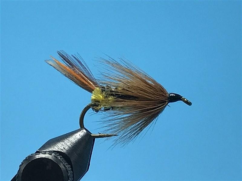 Brindle Bug Steelhead Flies - The Trout Spot