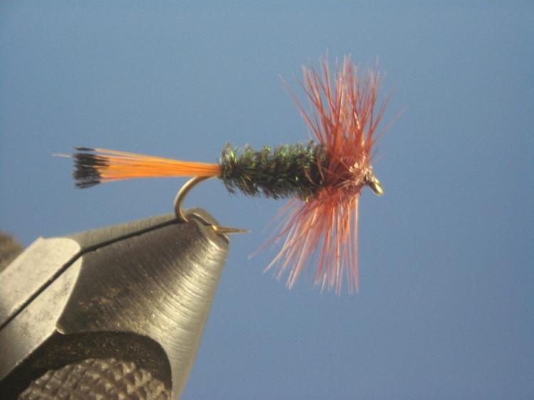 Brown Hackle Peacock - The Trout Spot
