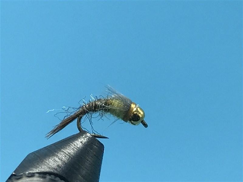 B's GB Emerger PMD - The Trout Spot