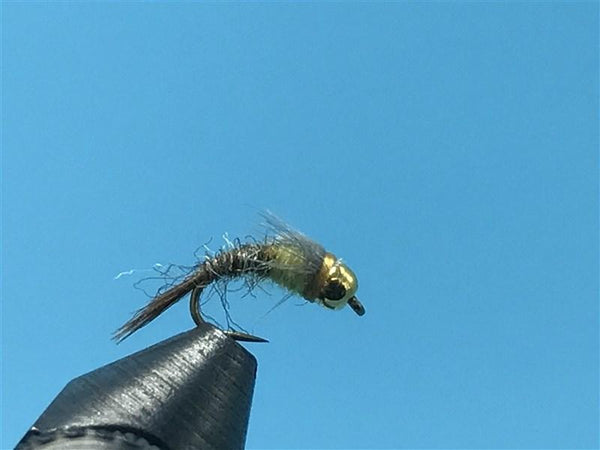 B's GB Emerger PMD - The Trout Spot