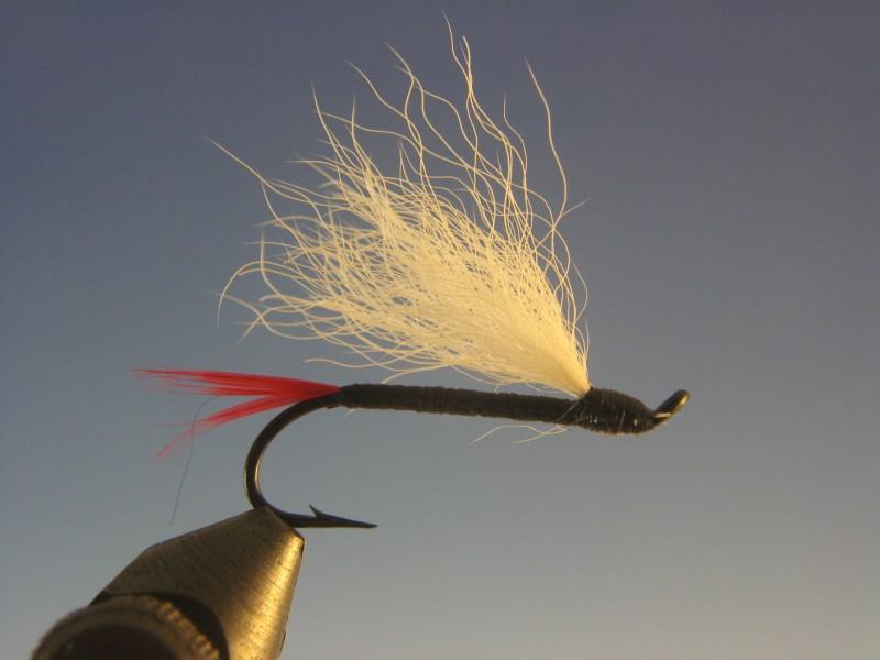 Butterfly Salmon Fly - The Trout Spot