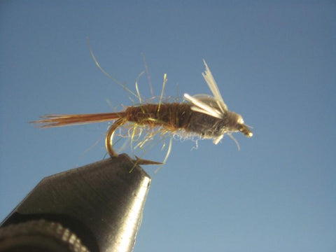 BWO Nymph - The Trout Spot
