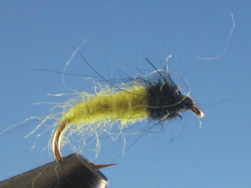 Caddis Larva Yellow - The Trout Spot