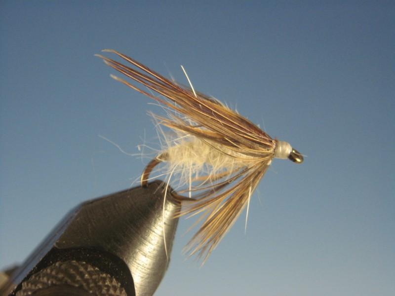 Caddis Pupa Cream - The Trout Spot