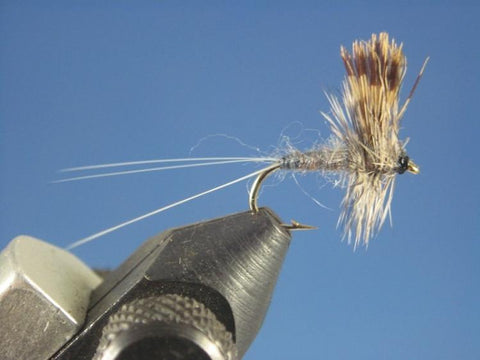 Callibaetis Dry - The Trout Spot