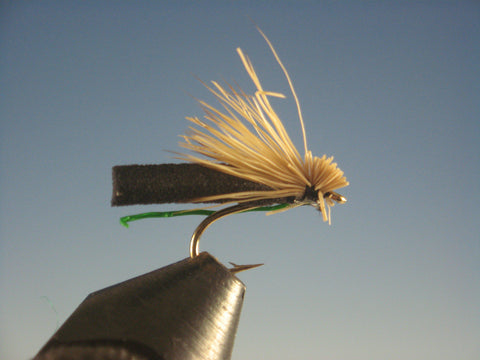 Candy Caddis Olive and Black - The Trout Spot