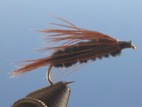 Carey Special Black - The Trout Spot