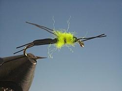 Carpenter Ant - The Trout Spot