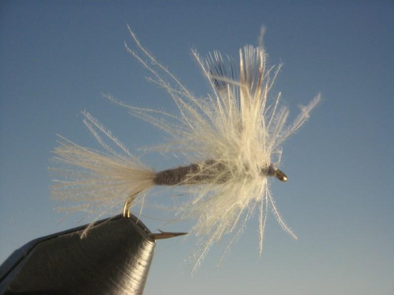 CDC Adams - The Trout Spot