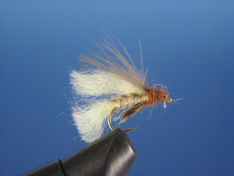 CDC Caddis Emerger Cream - The Trout Spot