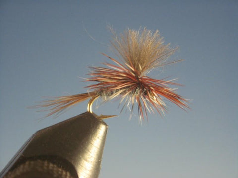 CDC Parachute Adams - The Trout Spot