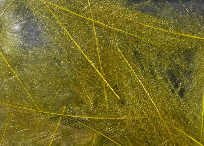 Hareline Dubbin Cul De Canard BWO - The Trout Spot