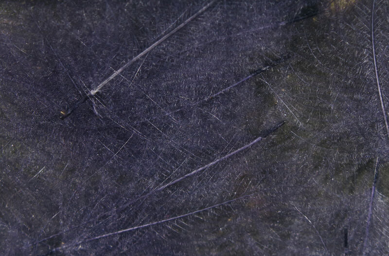 Hareline Dubbin Cul De Canard Dark Dun - The Trout Spot