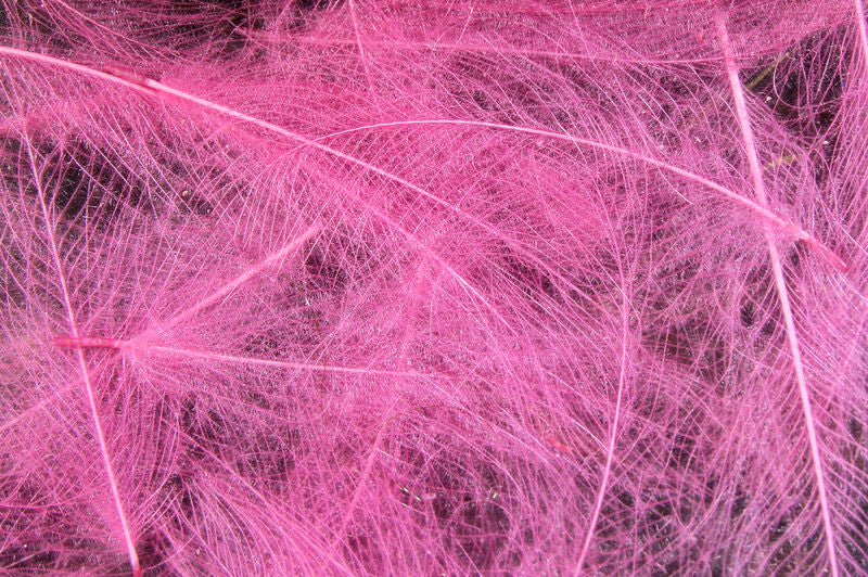 Hareline Dubbin Cul De Canard Light Pink - The Trout Spot