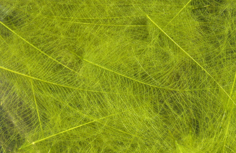 Hareline Dubbin Cul De Canard PMD - The Trout Spot