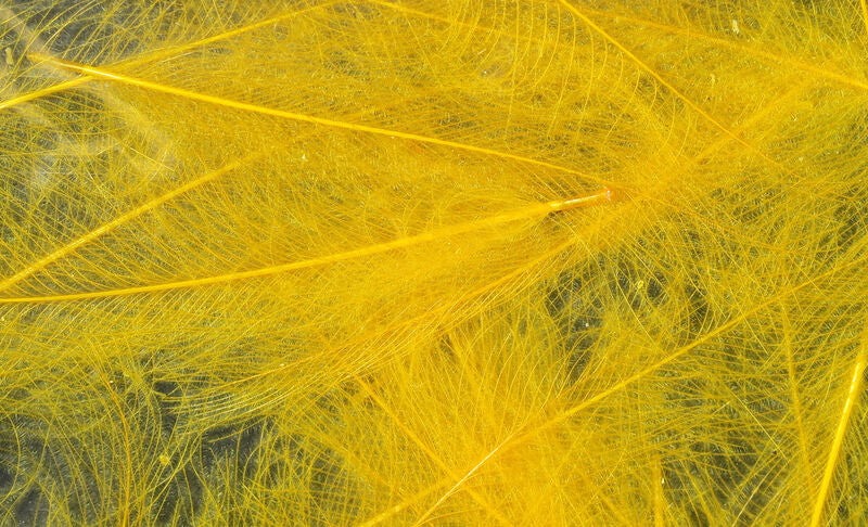 Hareline Dubbin Cul De Canard Sulphur Orange - The Trout Spot