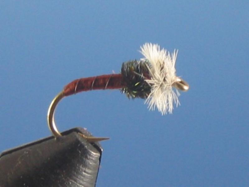 Chironomid Brown - The Trout Spot