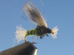 Chironomid Pupa Olive - The Trout Spot