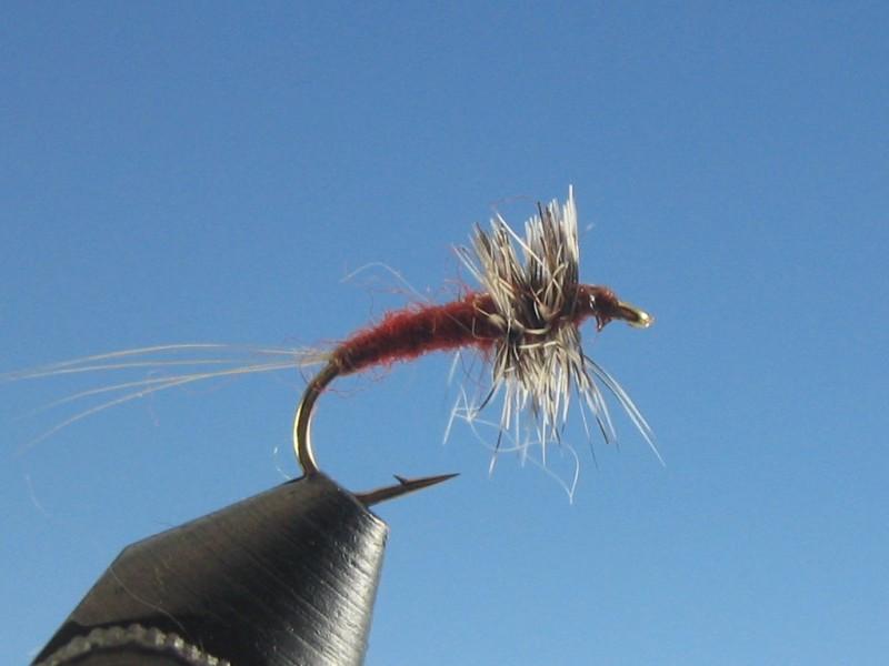 Compara Spinner Brown - The Trout Spot