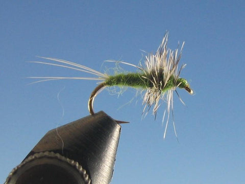 Compara Spinner Olive - The Trout Spot