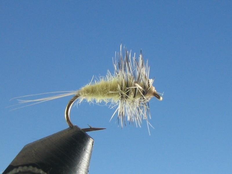 Compara Spinner Yellow - The Trout Spot