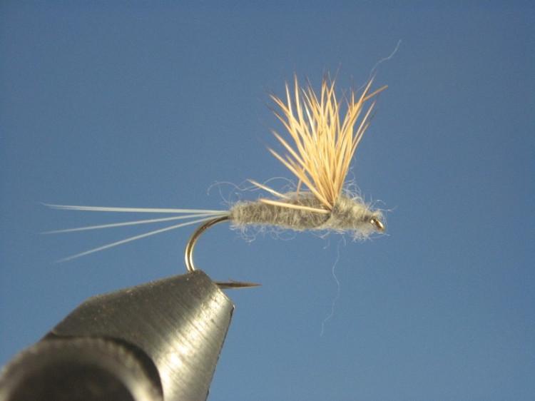 Comparadun Adams - The Trout Spot