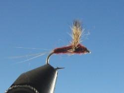 Comparadun Brown - The Trout Spot