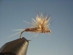 Comparadun Callibaetis - The Trout Spot