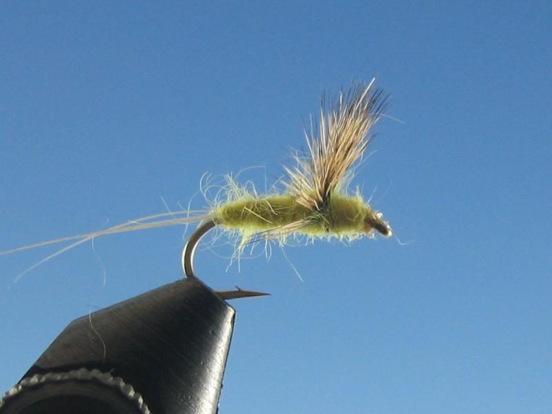 Comparadun Yellow - The Trout Spot