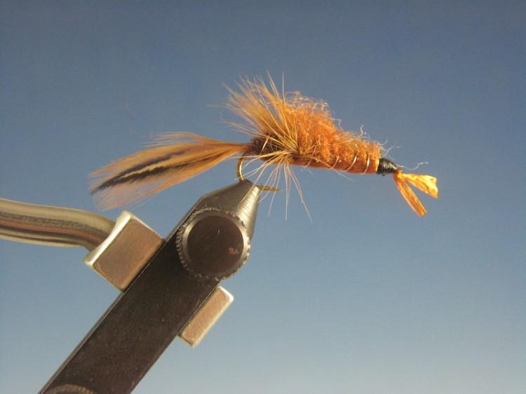 Crayfish Brown - The Trout Spot