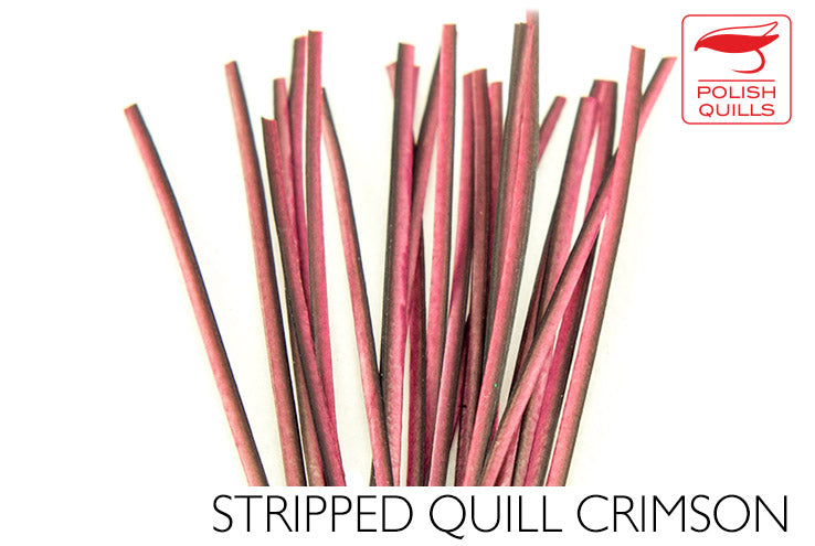 Polish Stripped Peacock Quills Crimson
