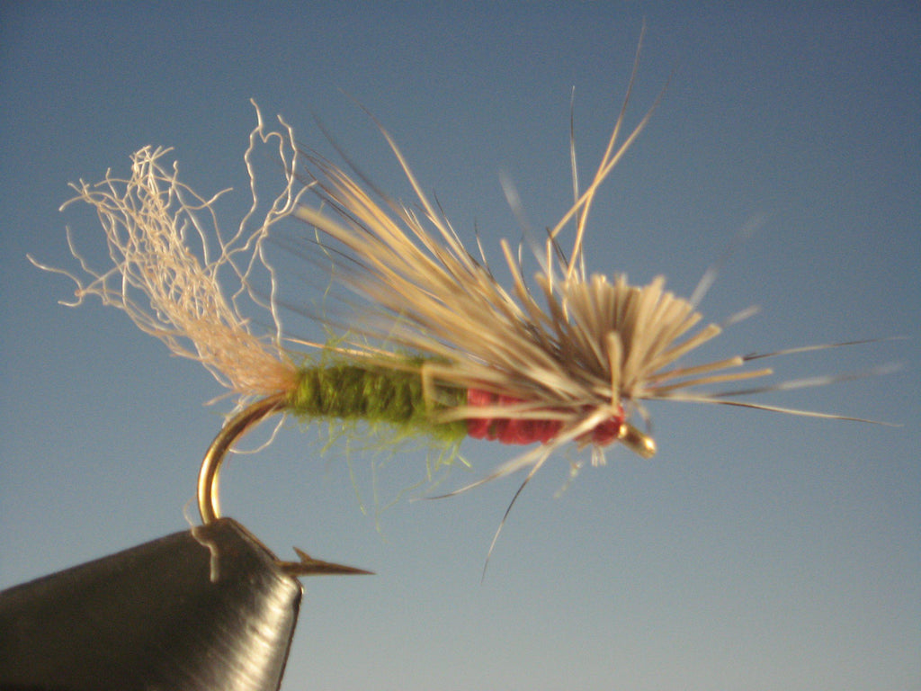 Cutter's EC Caddis Olive - The Trout Spot