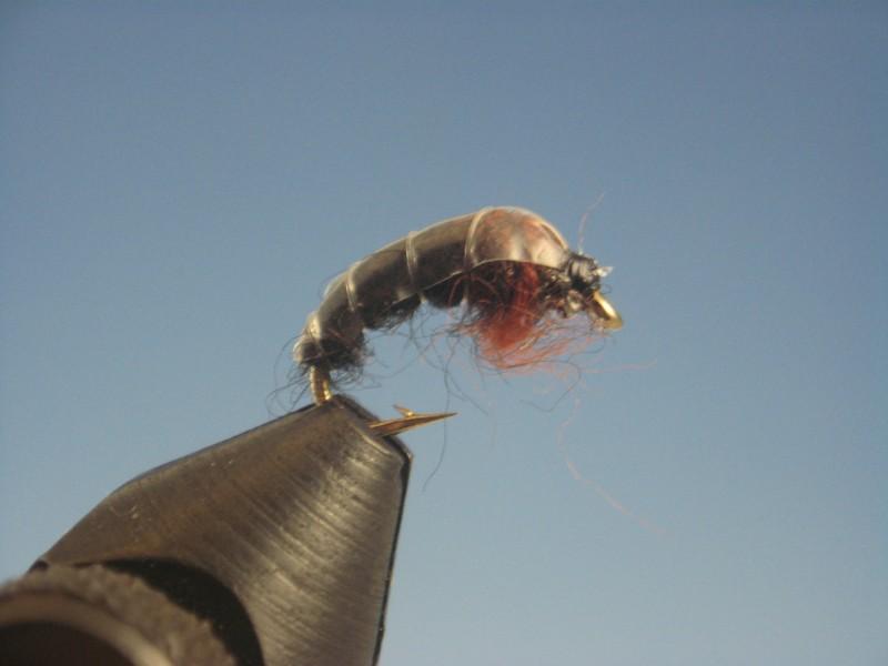 Czech Nymph Black - The Trout Spot