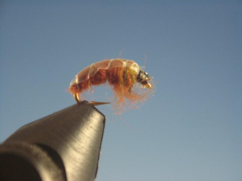 Czech Nymph Brown - The Trout Spot