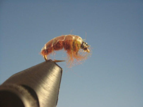 Czech Nymph Brown - The Trout Spot