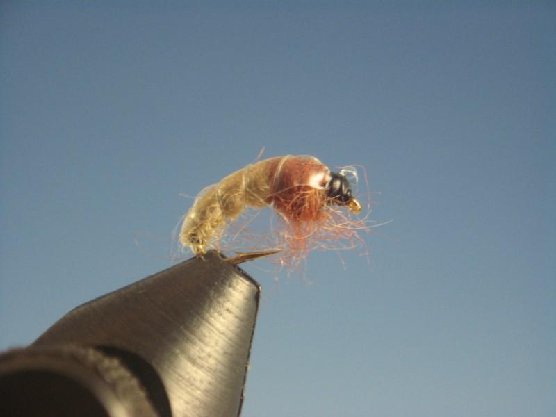 Czech Nymph Tan - The Trout Spot