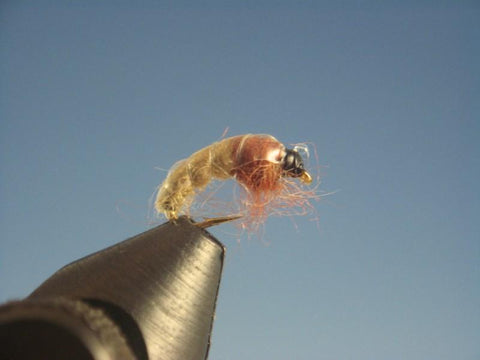 Czech Nymph Tan - The Trout Spot