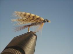 Dark Cahill Wet Fly - The Trout Spot