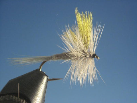 Dark Hendrickson - The Trout Spot