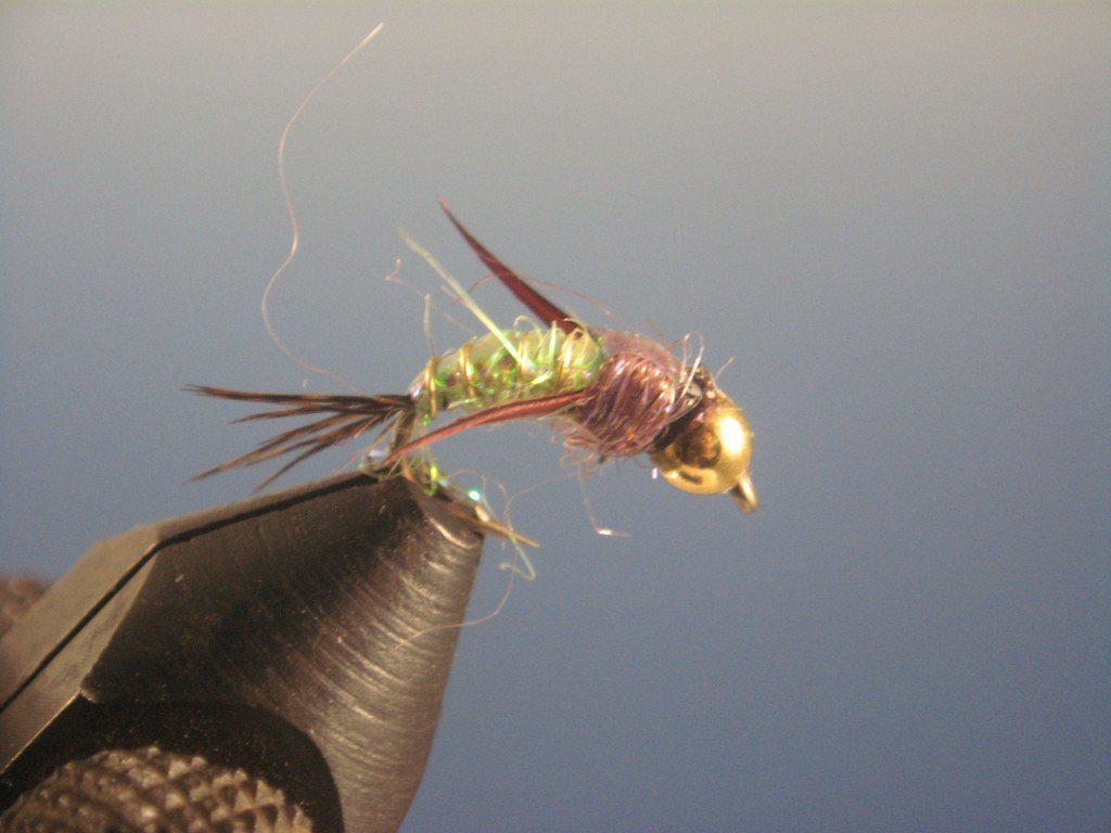 Davies' Evil Weevil Ice - The Trout Spot
