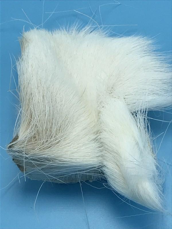 Deer Belly Hair - The Trout Spot